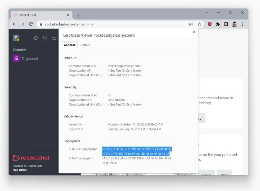 Encrypted Rocket.chat